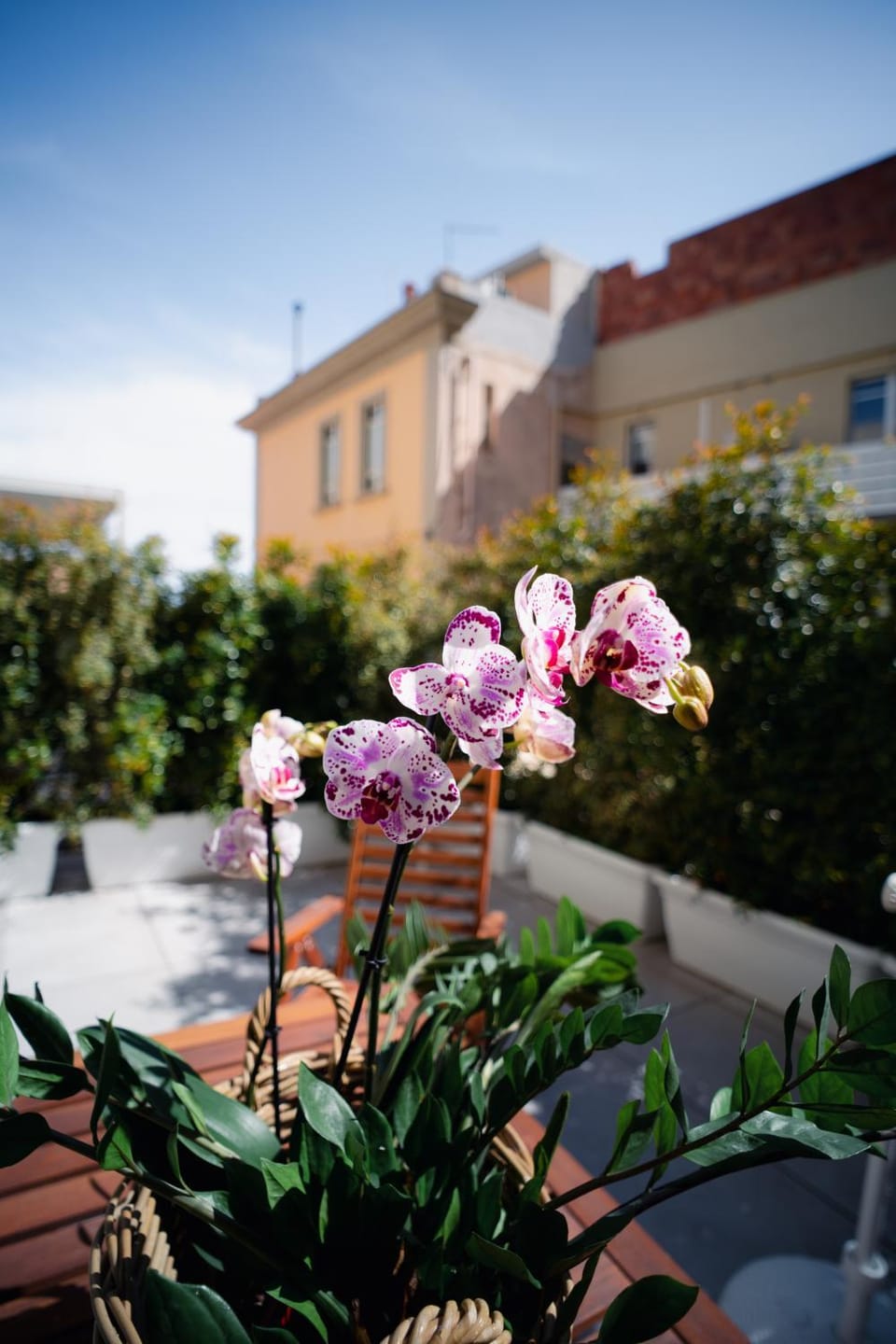 Balcony/Terrace, Balcony/Terrace
