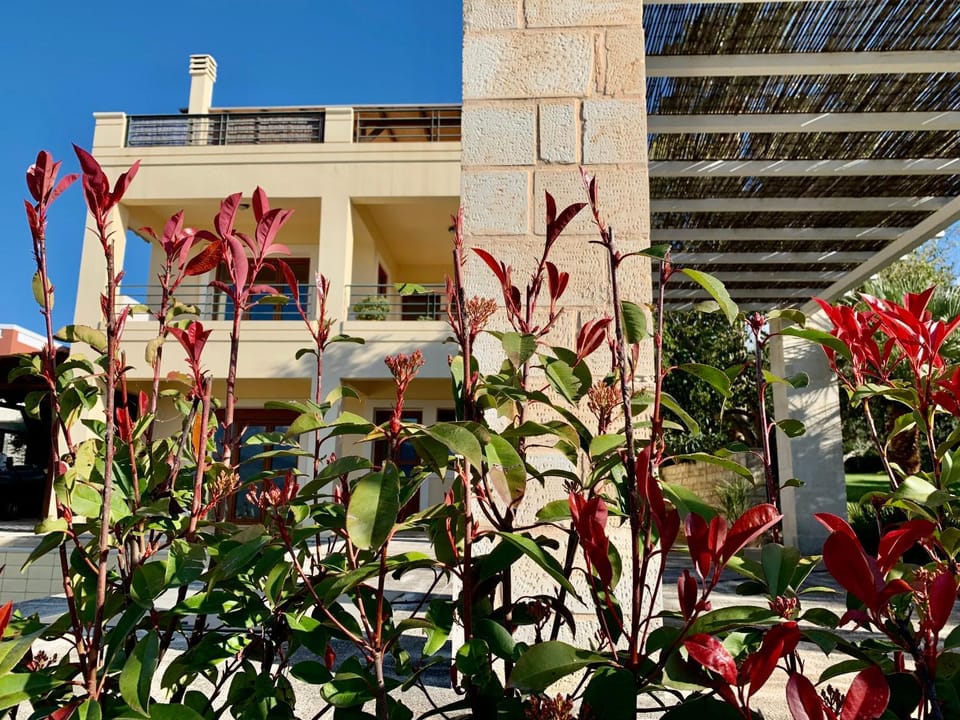 Aggelos and Thisbe Chania Suburbs Sea View Guest House House in Crete