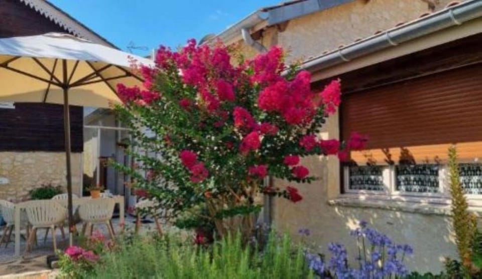 Garden, Garden, Garden view, Garden view