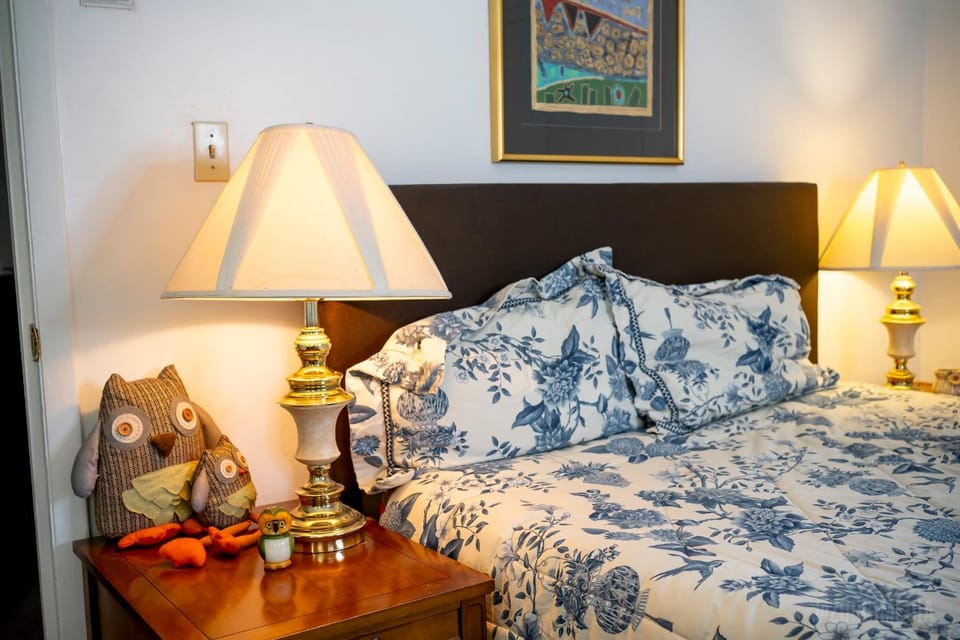 Southwest Charming Apartment - Amazing View Apartment in Pittsburgh