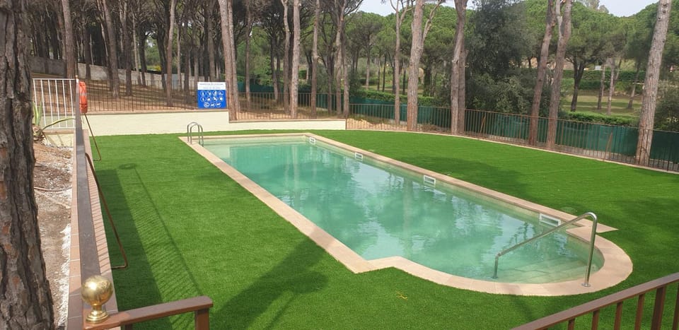 Day, Natural landscape, Garden, Pool view, Swimming pool