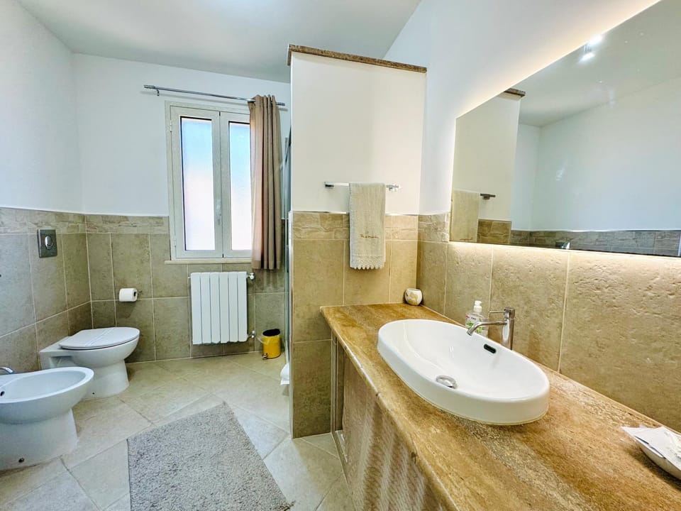 Shower, Toilet, Bathroom, bidet