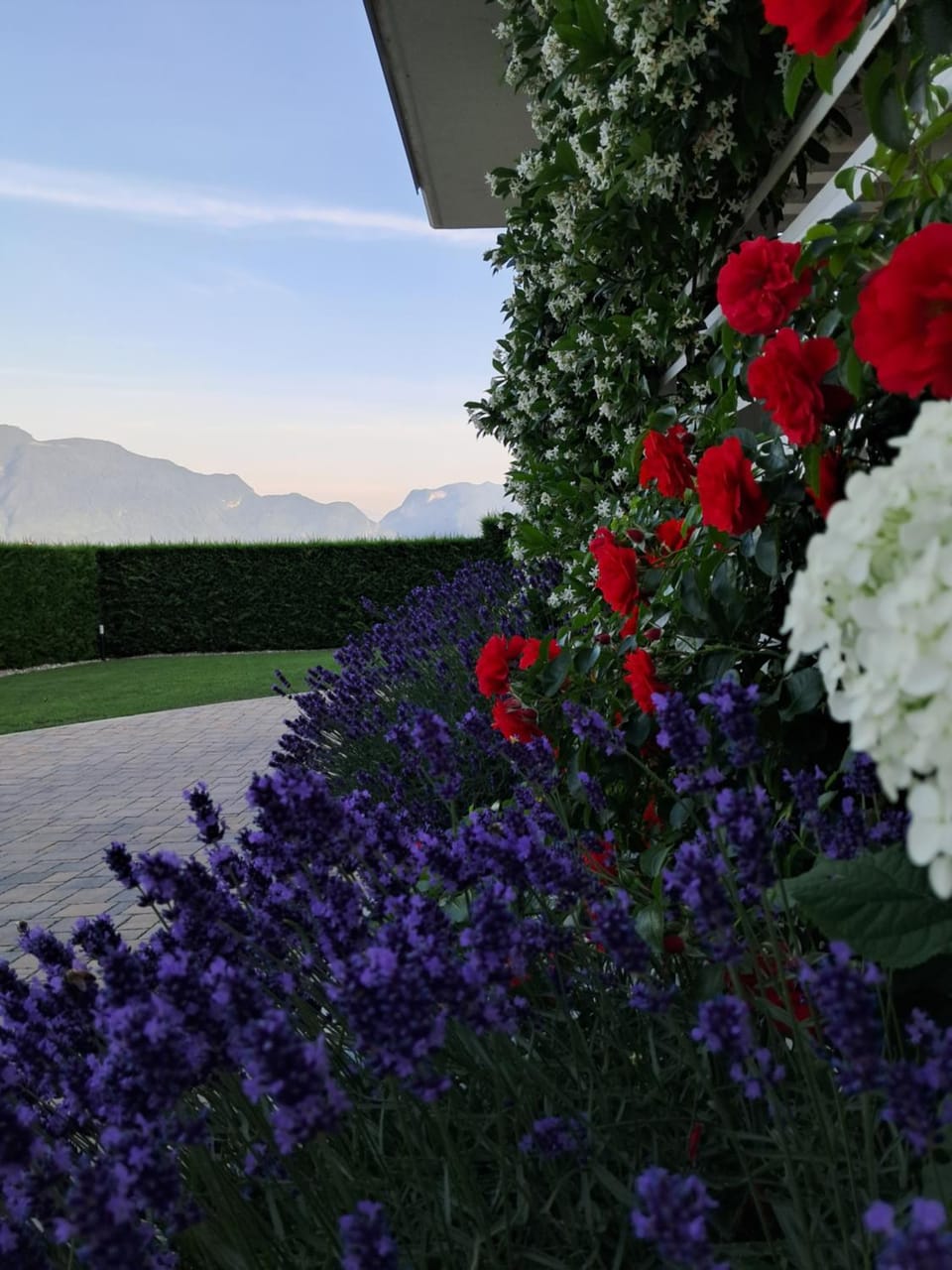 Garden view