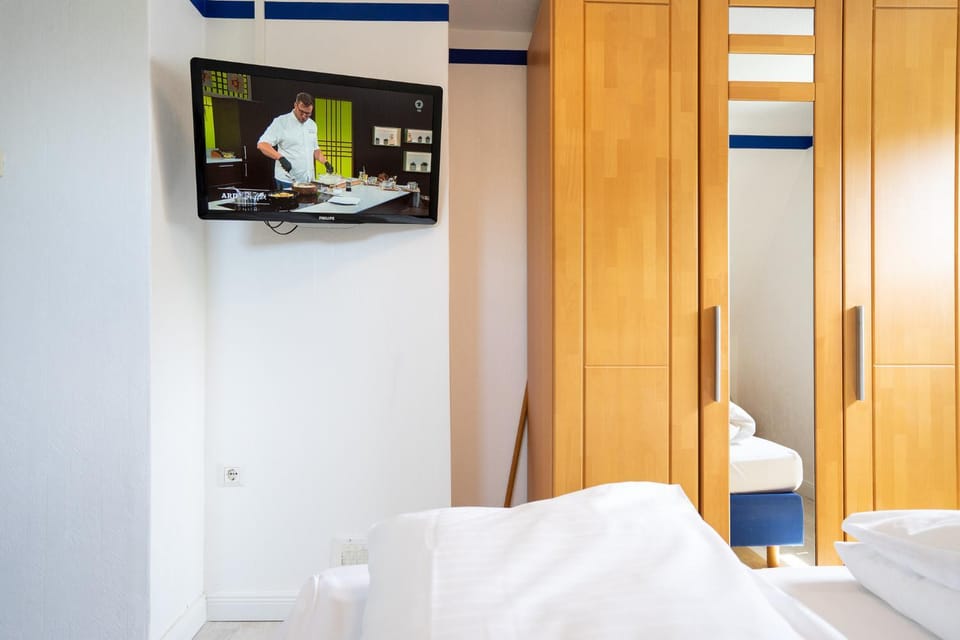 TV and multimedia