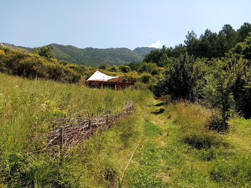 Ecolodge de la Ferme du Chant de Cailloux Luxury tent in Provence-Alpes-Côte d'Azur