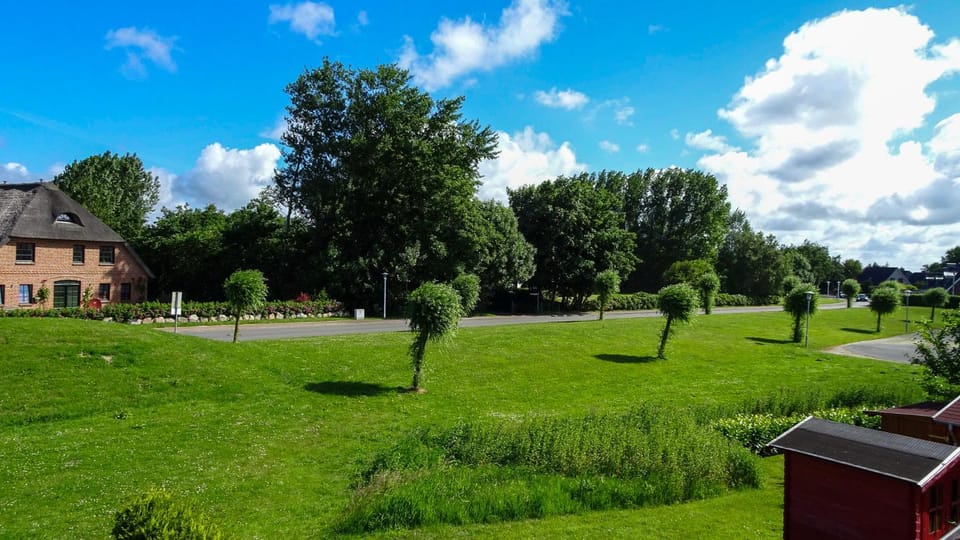 Natural landscape