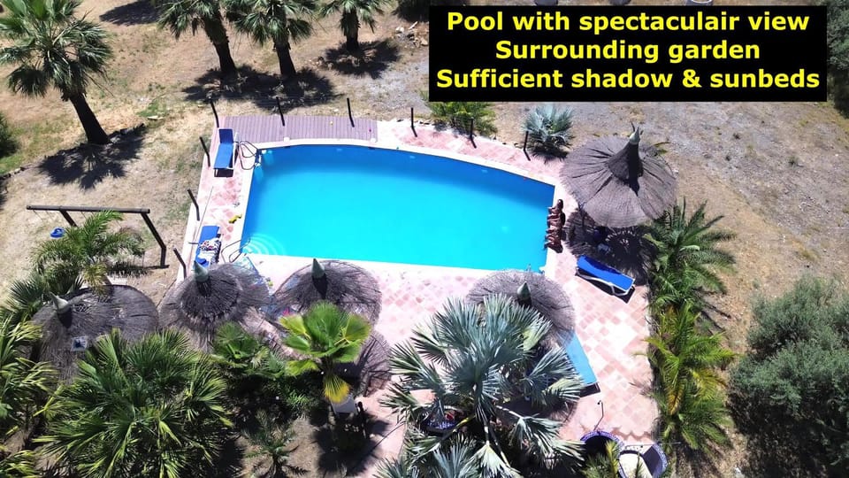 Pool view, Swimming pool, sunbed