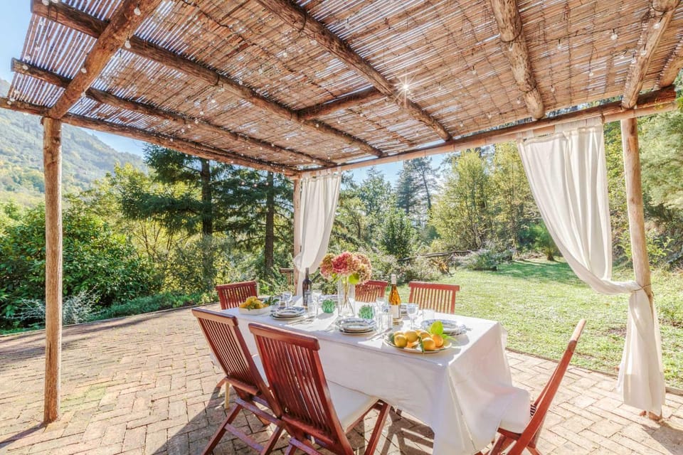 Villa Birdsong, among the Woods in Camaiore Villa in Camaiore
