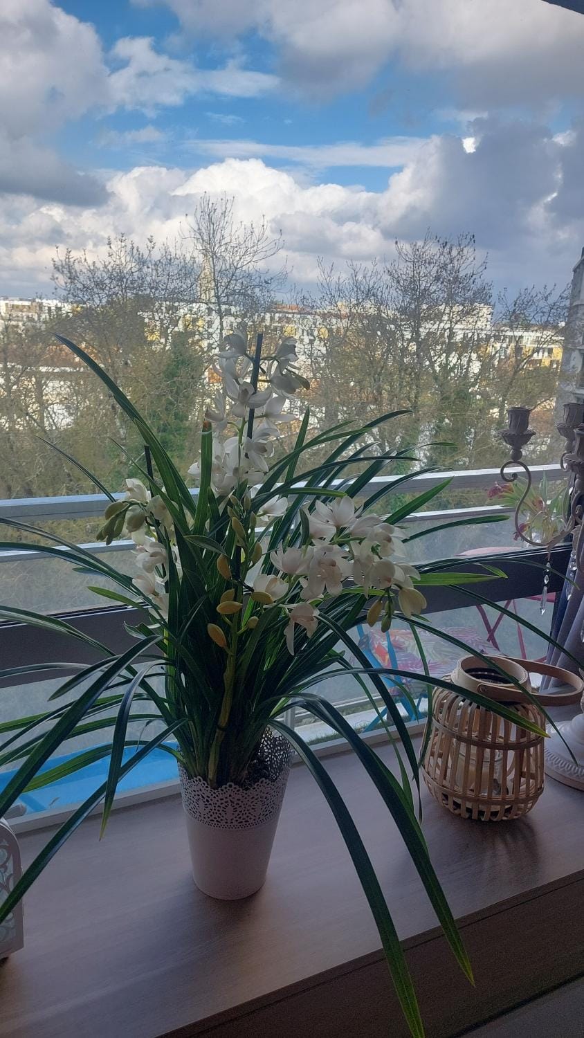Chambre chez l'habitante avec salle de bain et cuisine communes - Présence d'un chat Vacation rental in Mérignac