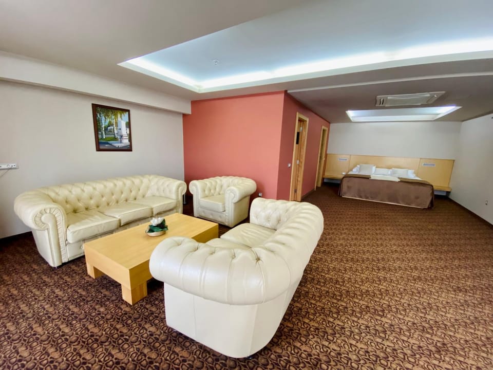 Hotel Zenica Hotel in Federation of Bosnia and Herzegovina