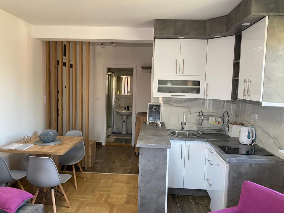 APARTMAN TAMARA LUX Apartment in Serbia