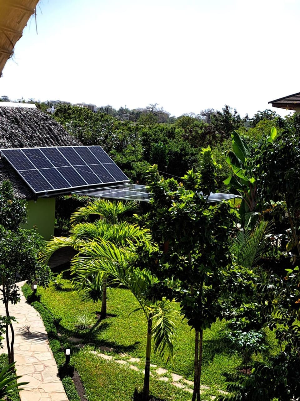 Garden view