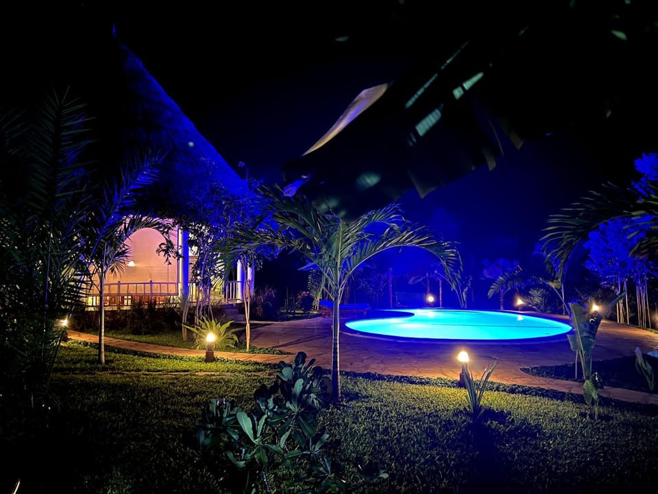Night, Swimming pool