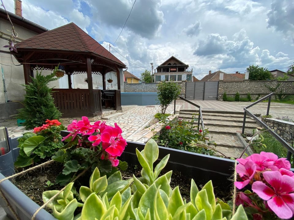 Pensiunea Roșu Bed and Breakfast in Romania