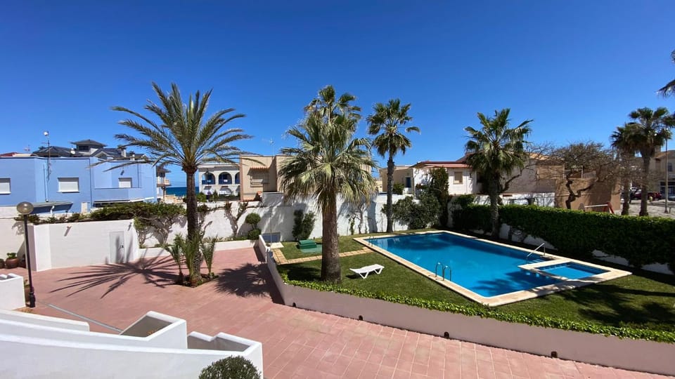 Garden, Garden view, Swimming pool