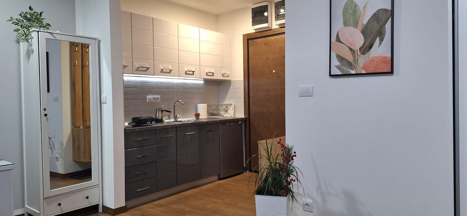 Apartman Dunati Apartment in Zlatibor District, Serbia