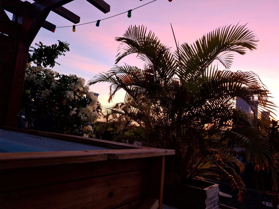Garden view