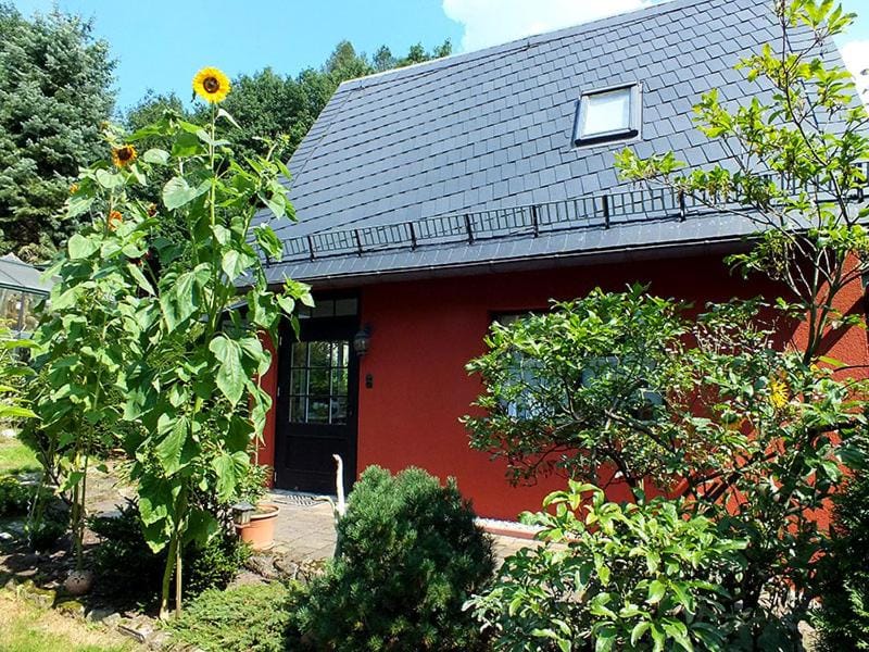 Property building, Garden, Garden view
