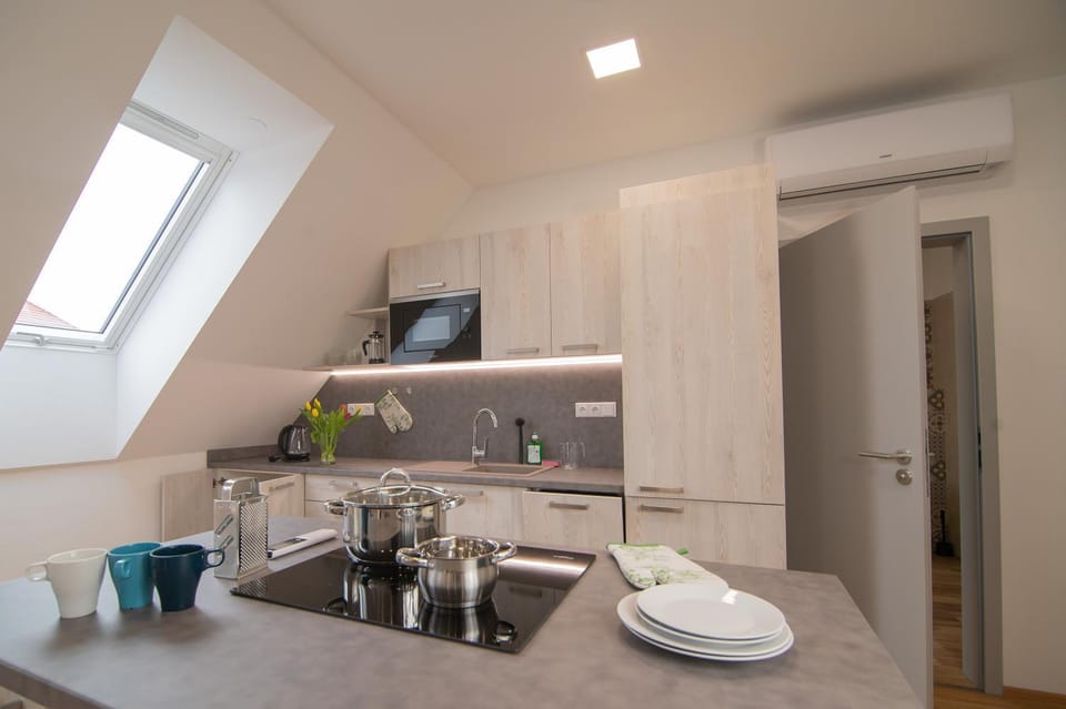 Kitchen or kitchenette, minibar, pet friendly, stove