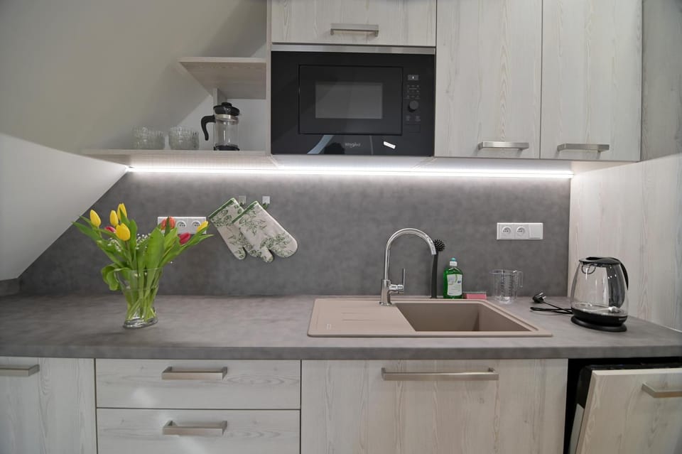 Kitchen or kitchenette, dishwasher, minibar