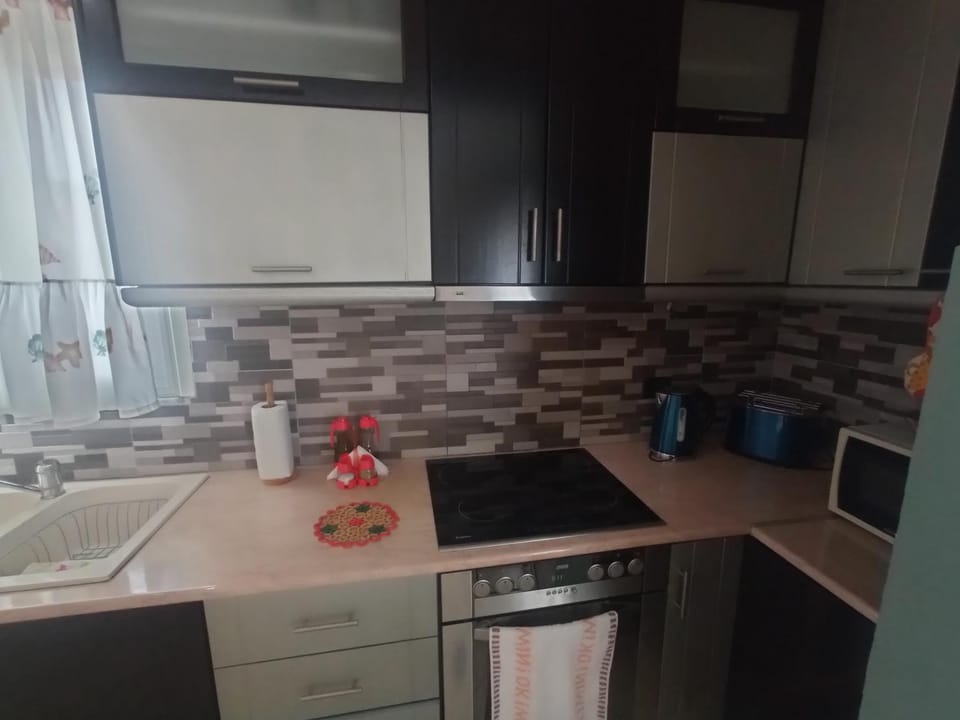Kitchen or kitchenette, minibar, pet friendly, stove