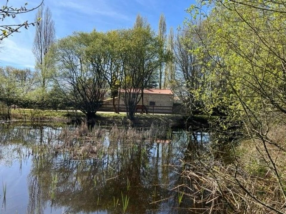 Gîte charmant, spacieux, à 15 km de Nantes, 2 chambres, terrasse, parking, animaux acceptés - FR-1-306-1238 House in Carquefou
