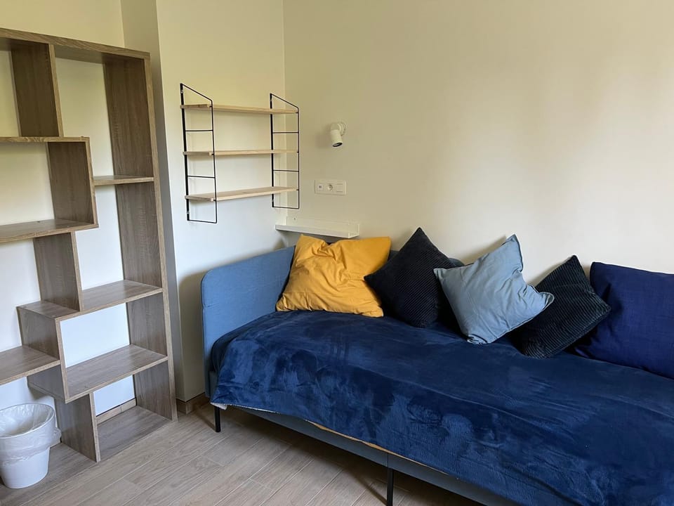 Bed, Living room, Photo of the whole room, Seating area, Bedroom