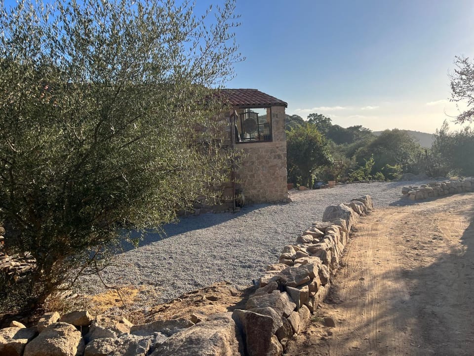 Natural landscape