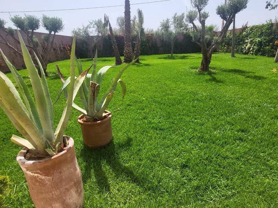 Garden, Garden view