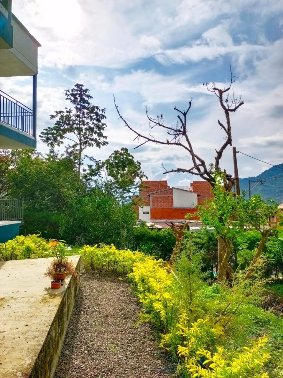 Bird House - Apartament Apartment in Jardín