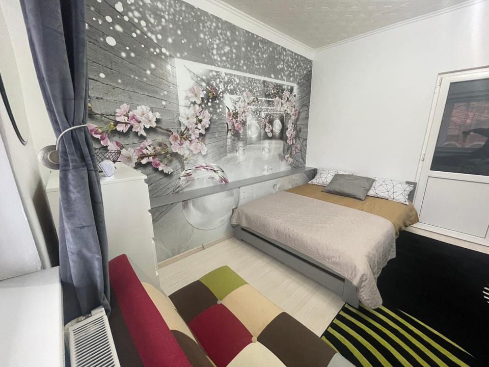 CENTRAL Colors Studio Petrosani Apartment in Romania
