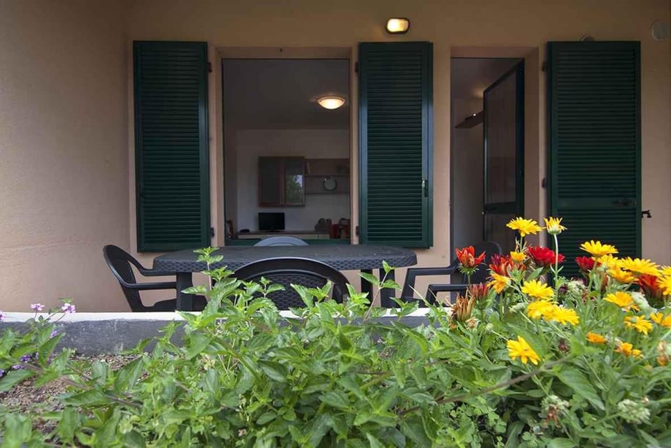Summer, Balcony/Terrace