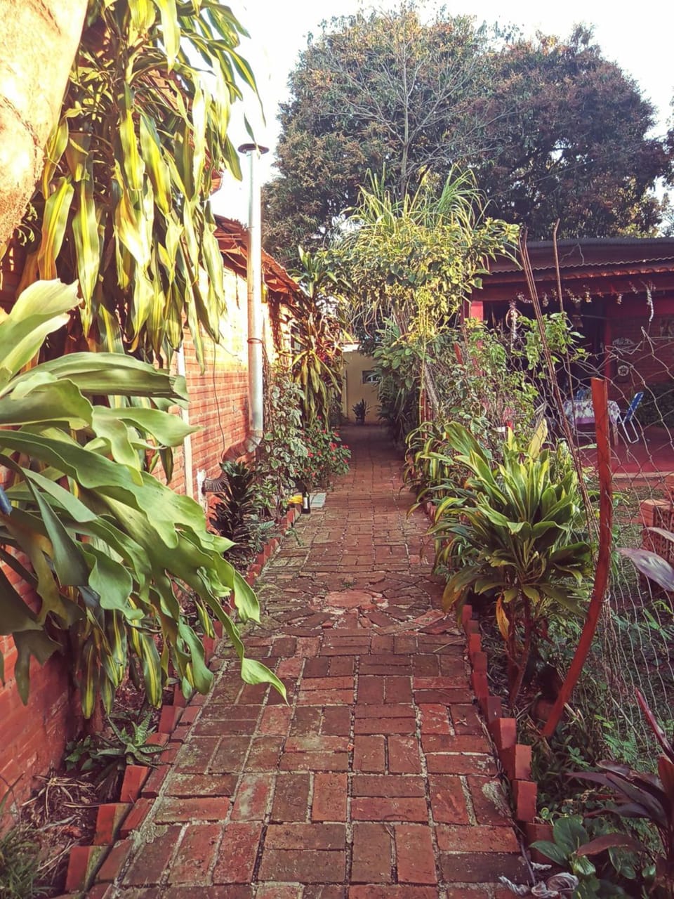 Garden, Garden view