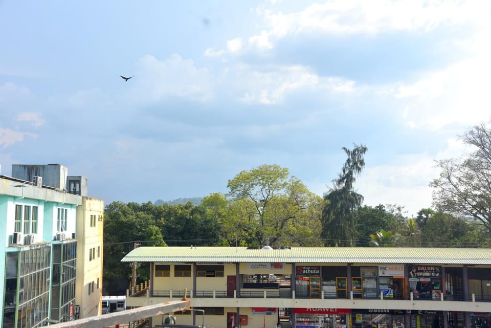 City view