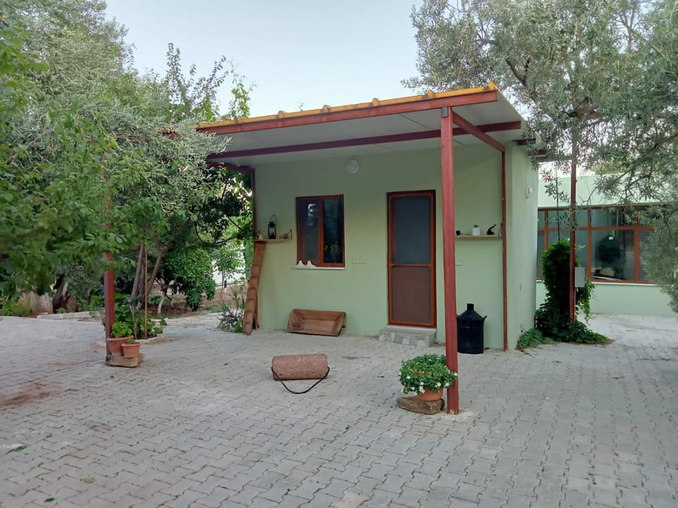 Spring, Day, Garden, Garden view