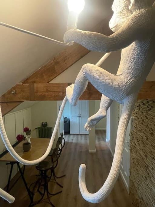 Appartement Cosy et charmant Apartment in Saint-Lô