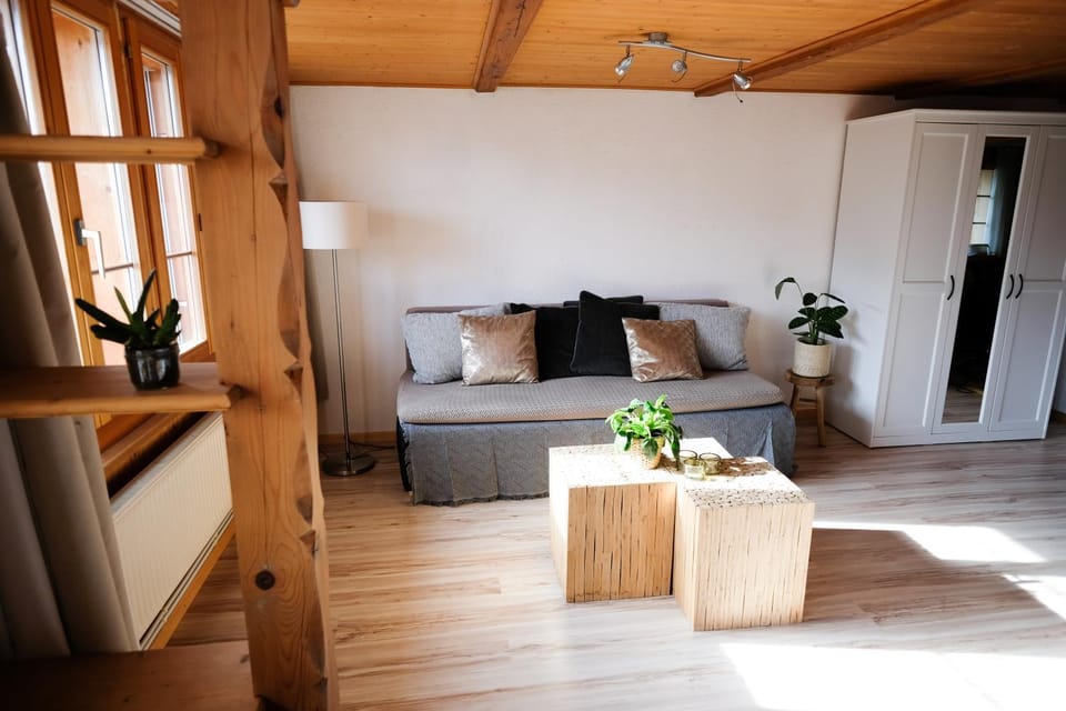 Lakeside Apartment Apartment in Canton of Bern (Region)