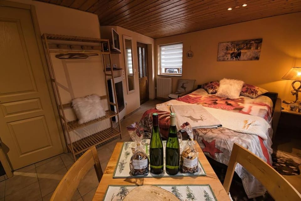 Les Chouchous du Ried 3 / Proche Europapark Apartment in Grand Est