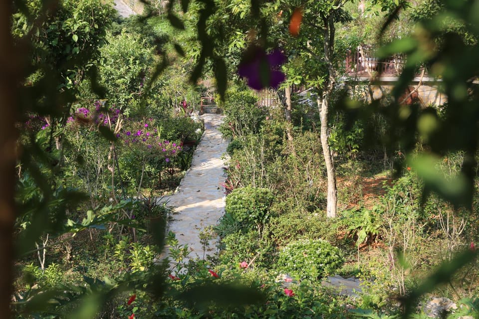Garden, Garden