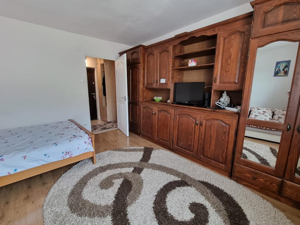 Garsoniera Emilia Apartment in Romania