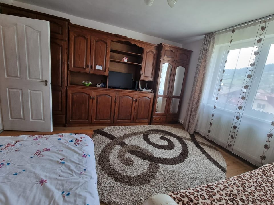 Garsoniera Emilia Apartment in Romania