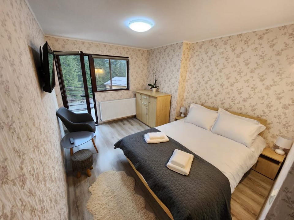 Vila Monica Vacation rental in Prahova, Romania