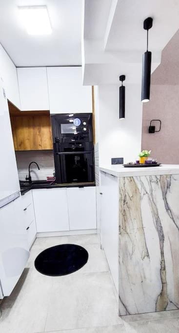 Kitchen or kitchenette, dishwasher, minibar, pet friendly, stove