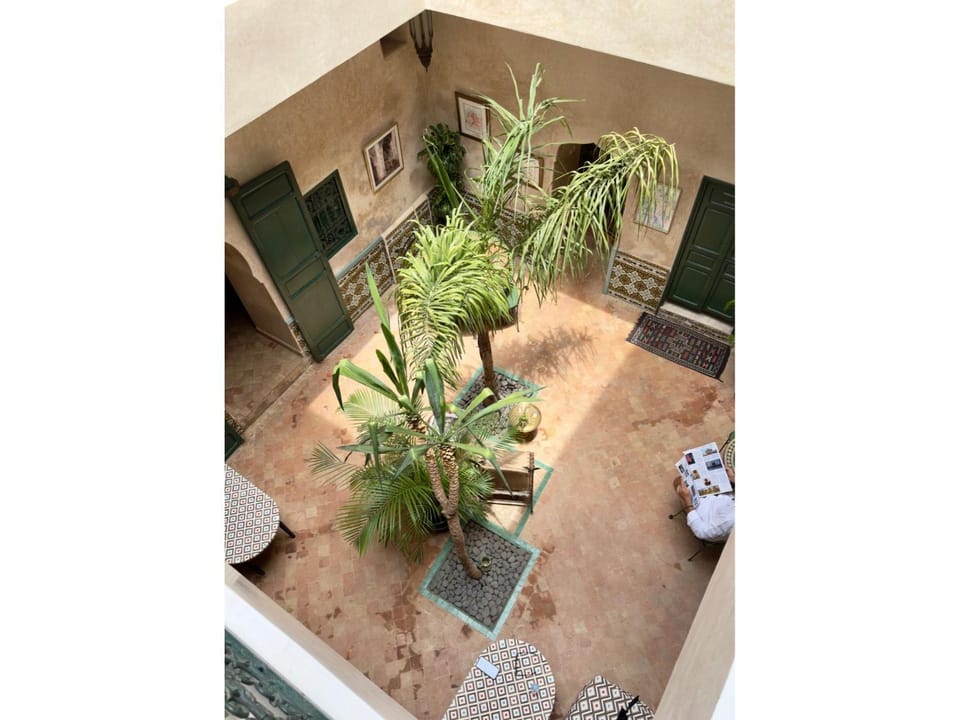 Patio, Garden view