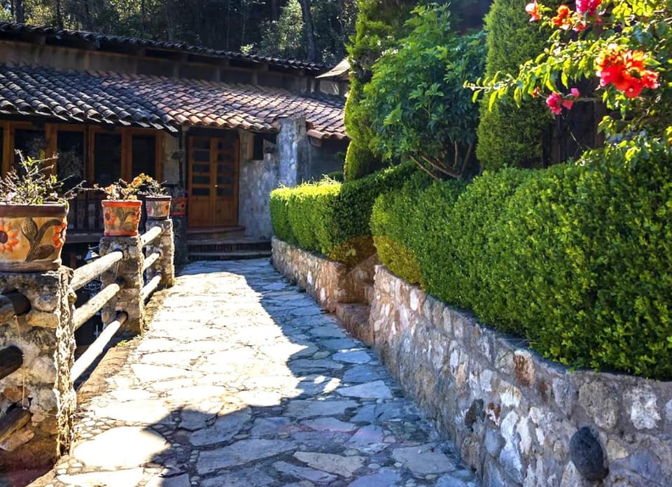 Property building, Day, Garden, Garden view