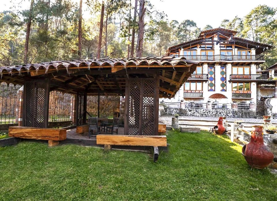 Property building, Patio, Day, Natural landscape, Garden, Garden view