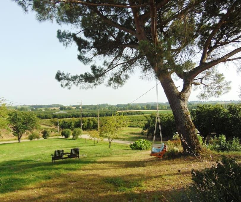 Natural landscape, Garden, Garden view