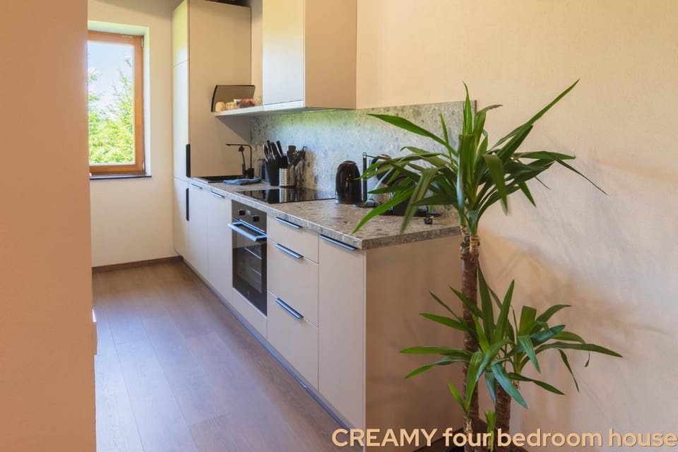 Kitchen or kitchenette, oven