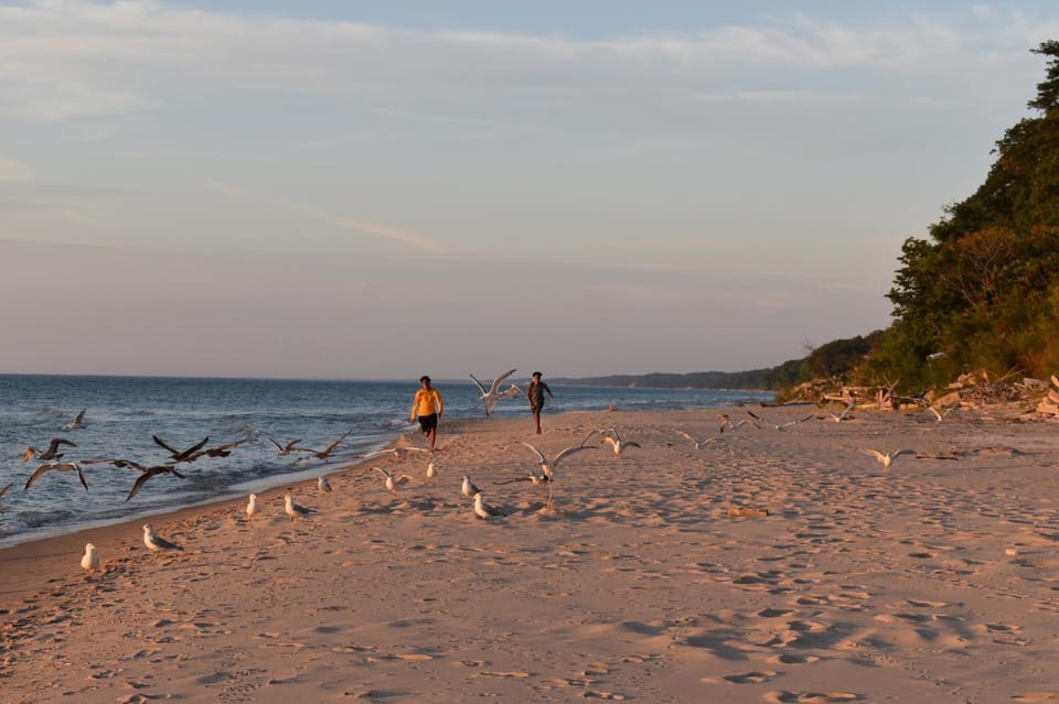 Day, Natural landscape, Beach