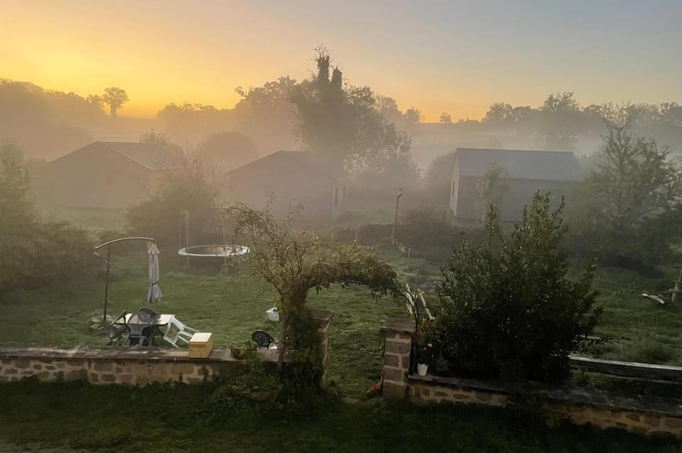 Natural landscape, Garden, Garden view